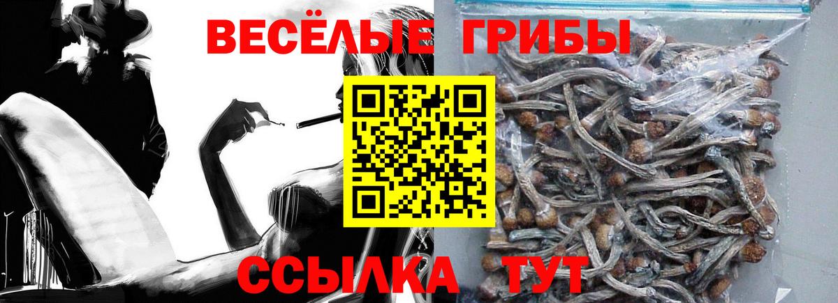 Галлюциногенные грибы Cubensis  купить наркотики сайты  Аксай  Псилоцибиновые грибы мицелий  Вход с VPN 
